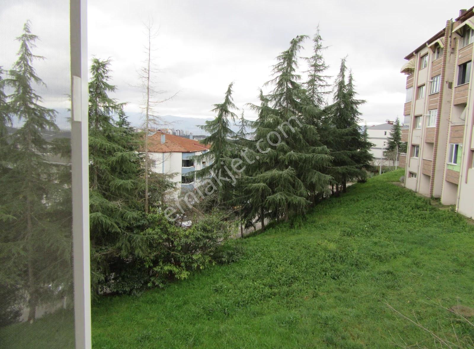 Tepeköy'de Satılık 3+1 Daire, 110m², Merkezi Konumda - Görsel 19