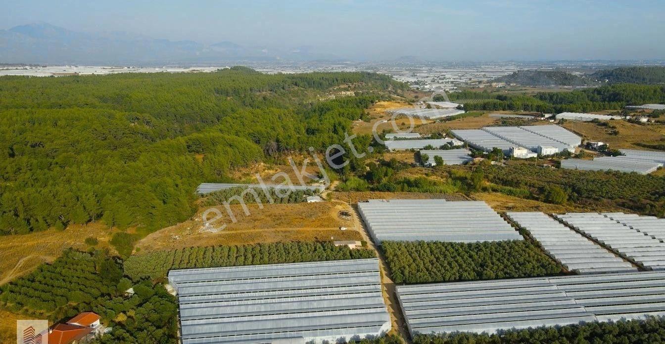 Aksu'da Ana Yola Yakın Kaçırılmaz Fırsat Tarla - Görsel 5
