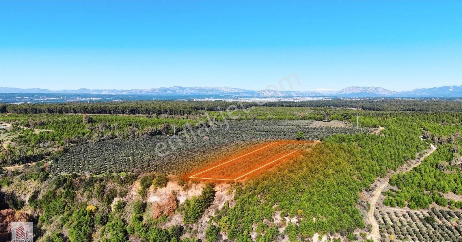 Kaçırılmaz Fırsat Aksu Yurtpınarda Çevre Yoluna Yakın Tarla - Görsel 15