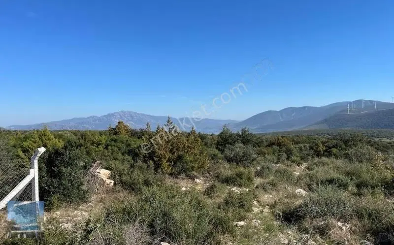 Aydın Didim Akyeniköy'de Satılık 720 M2 Arsa