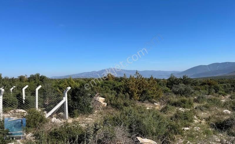 Aydın Didim Akyeniköy'de Satılık 720 M2 Arsa - Görsel 4