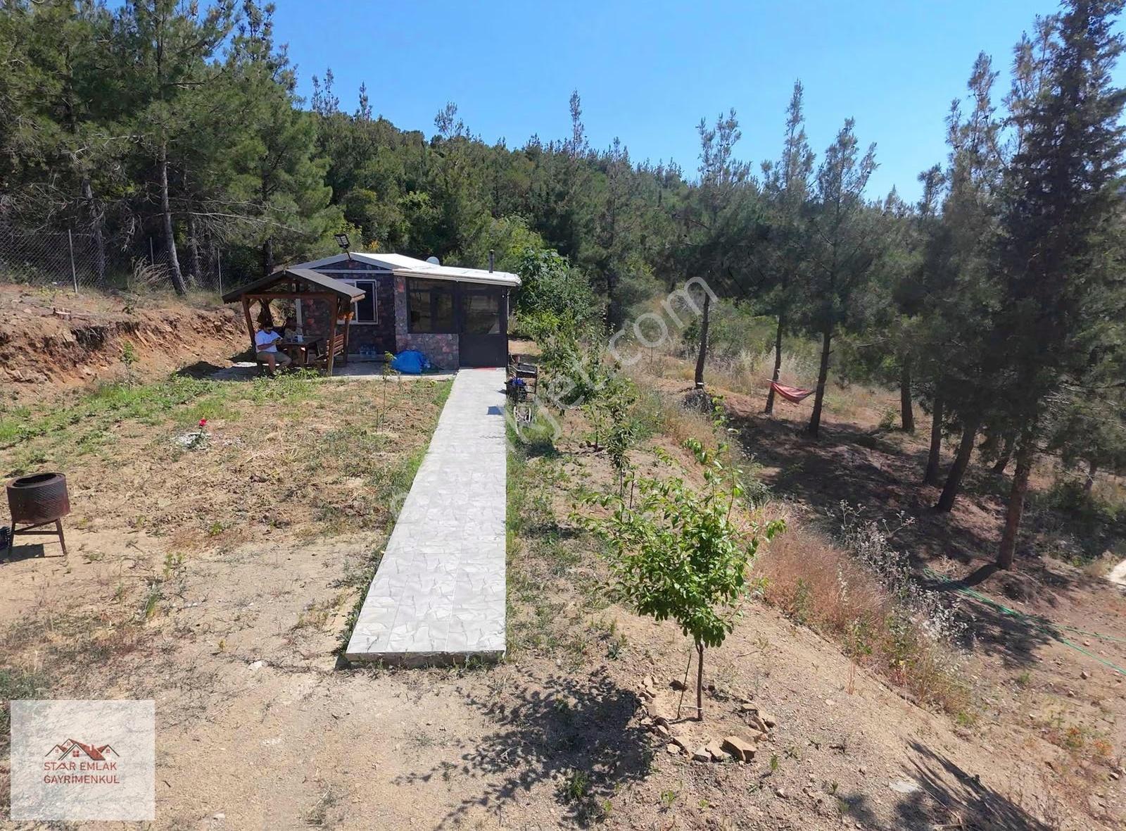 Kumbağda Orman İçinde 1315 M² Eşsiz Satılık Bağ Evi - Görsel 33