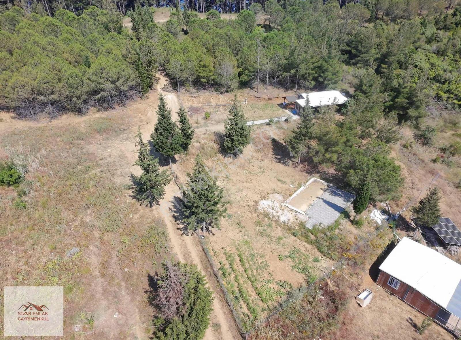Kumbağda Orman İçinde 1315 M² Eşsiz Satılık Bağ Evi - Görsel 4
