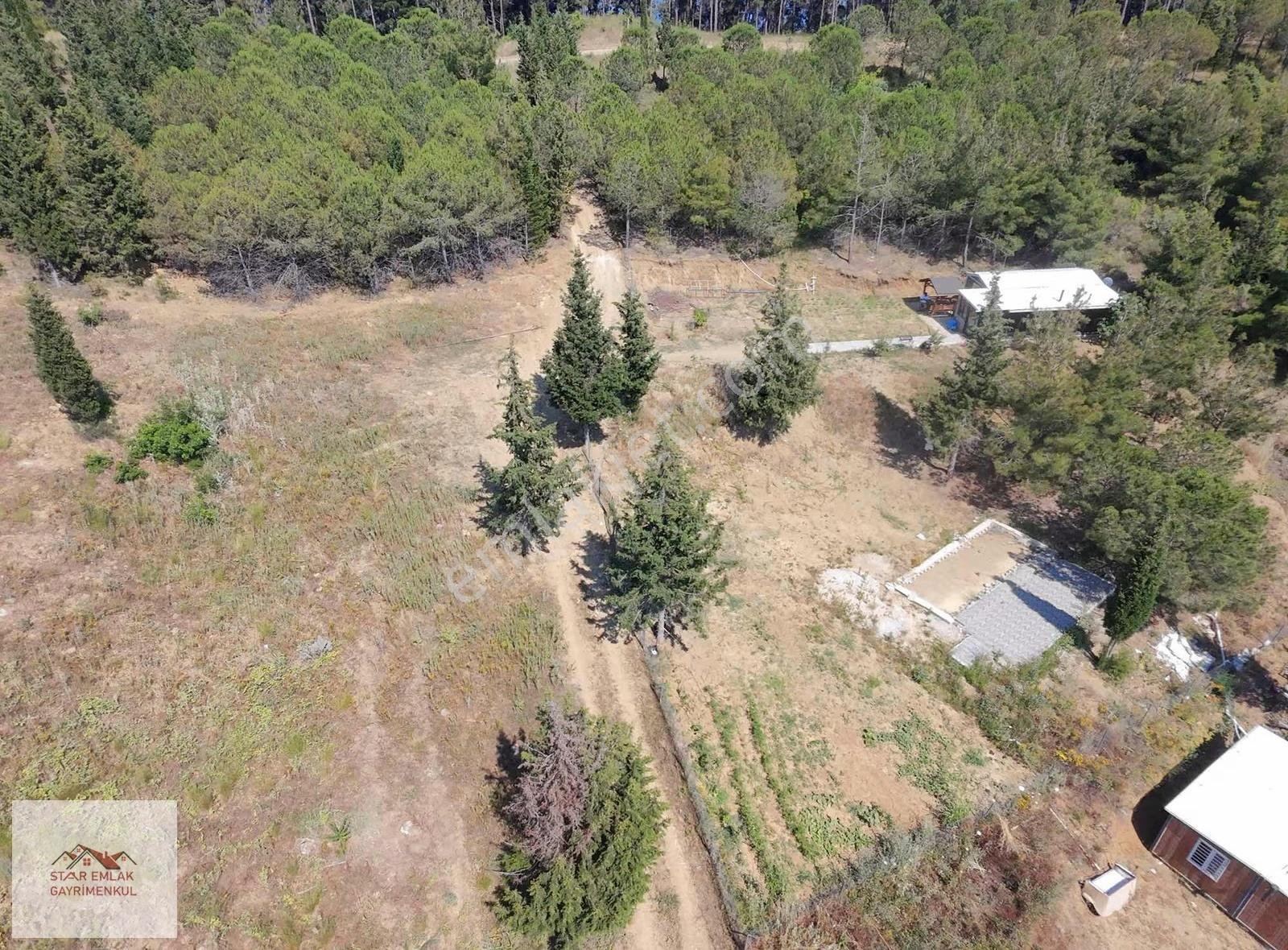 Kumbağda Orman İçinde 1315 M² Eşsiz Satılık Bağ Evi - Görsel 32