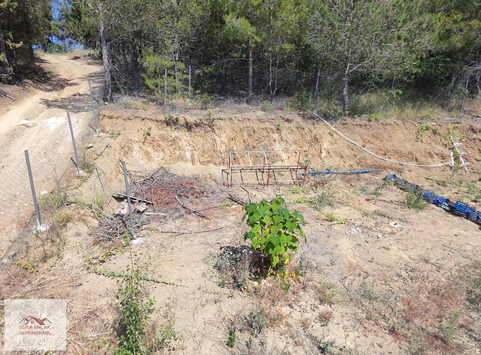 Kumbağda Orman İçinde 1315 M² Eşsiz Satılık Bağ Evi - Görsel 14