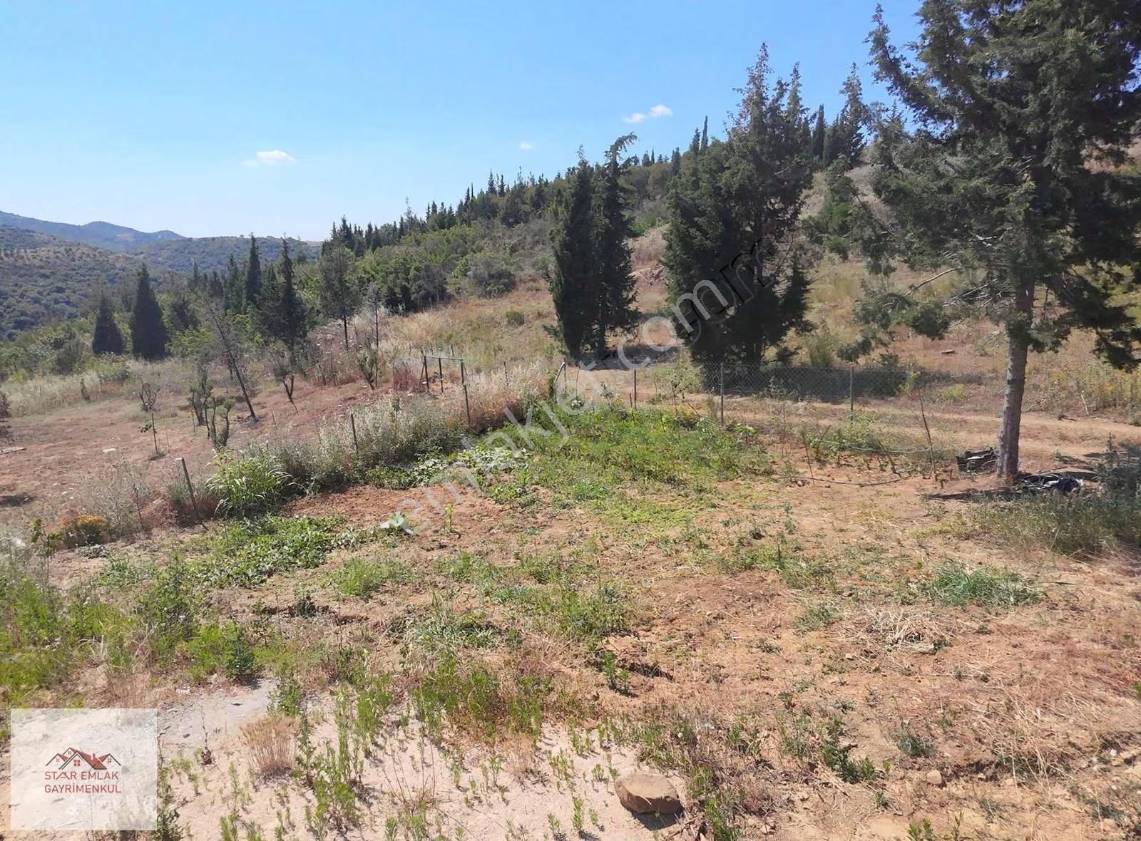 Kumbağda Orman İçinde 1315 M² Eşsiz Satılık Bağ Evi - Görsel 2