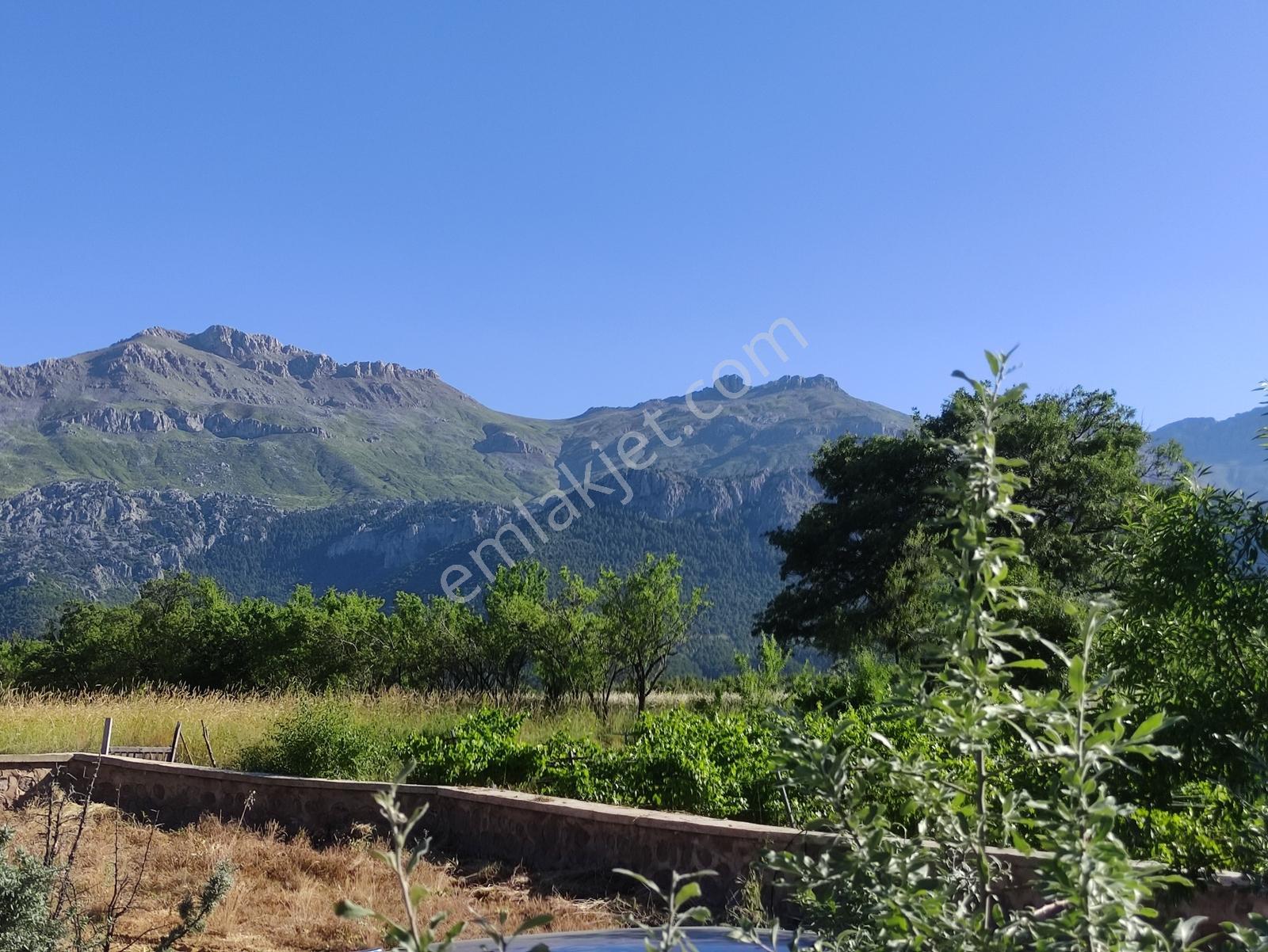 Özpınar,dan Üç Bahçe Bitişik ,suyu,yolu,elektrik Var 3565 M2 - Görsel 18