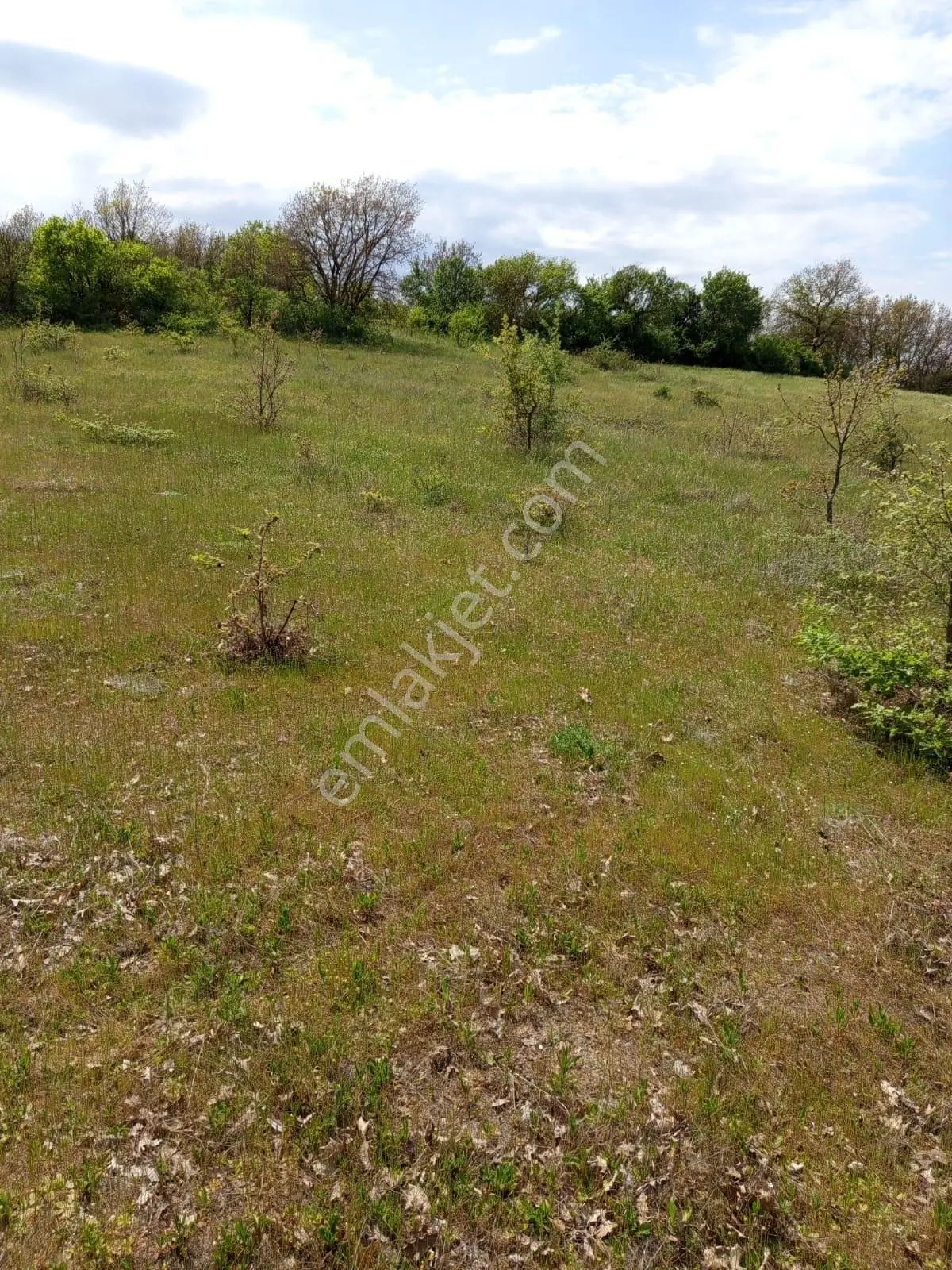 Edirne Uzunköprü Kırkkavak'ta | Tarla | 1.650 M² | - Görsel 7
