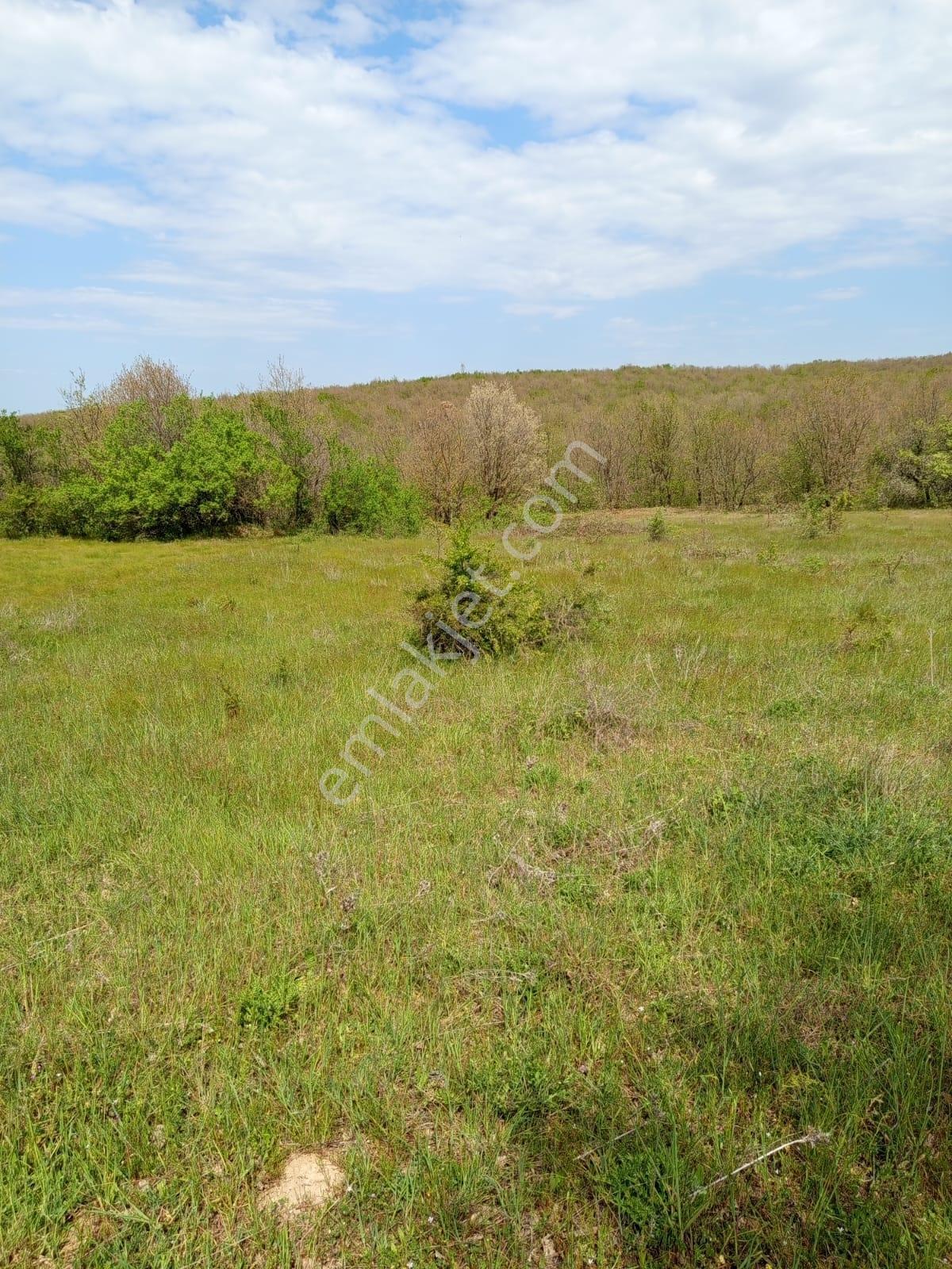 Edirne Uzunköprü Kırkkavak'ta | Tarla | 1.650 M² | - Görsel 5