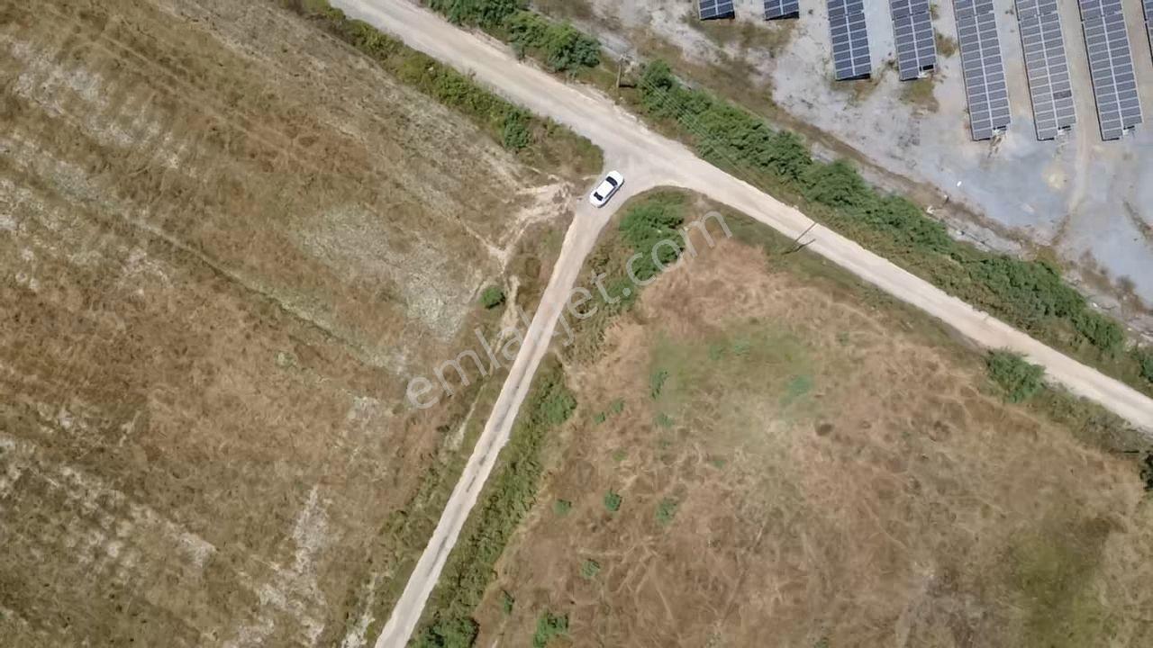 Milas Avşar Da Yola Sıfır 9 Dönüm Fırsat Tarla - Görsel 18
