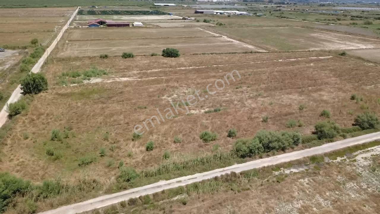 Milas Avşar Da Yola Sıfır 9 Dönüm Fırsat Tarla - Görsel 19