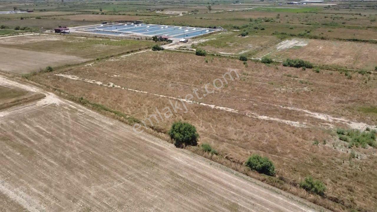 Milas Avşar Da Yola Sıfır 9 Dönüm Fırsat Tarla - Görsel 24