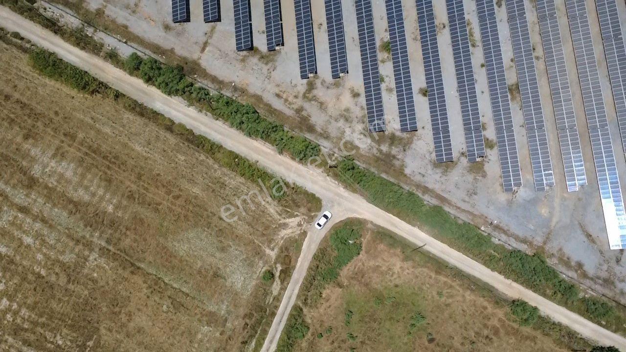 Milas Avşar Da Yola Sıfır 9 Dönüm Fırsat Tarla - Görsel 12