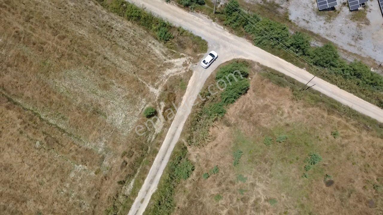 Milas Avşar Da Yola Sıfır 9 Dönüm Fırsat Tarla - Görsel 11