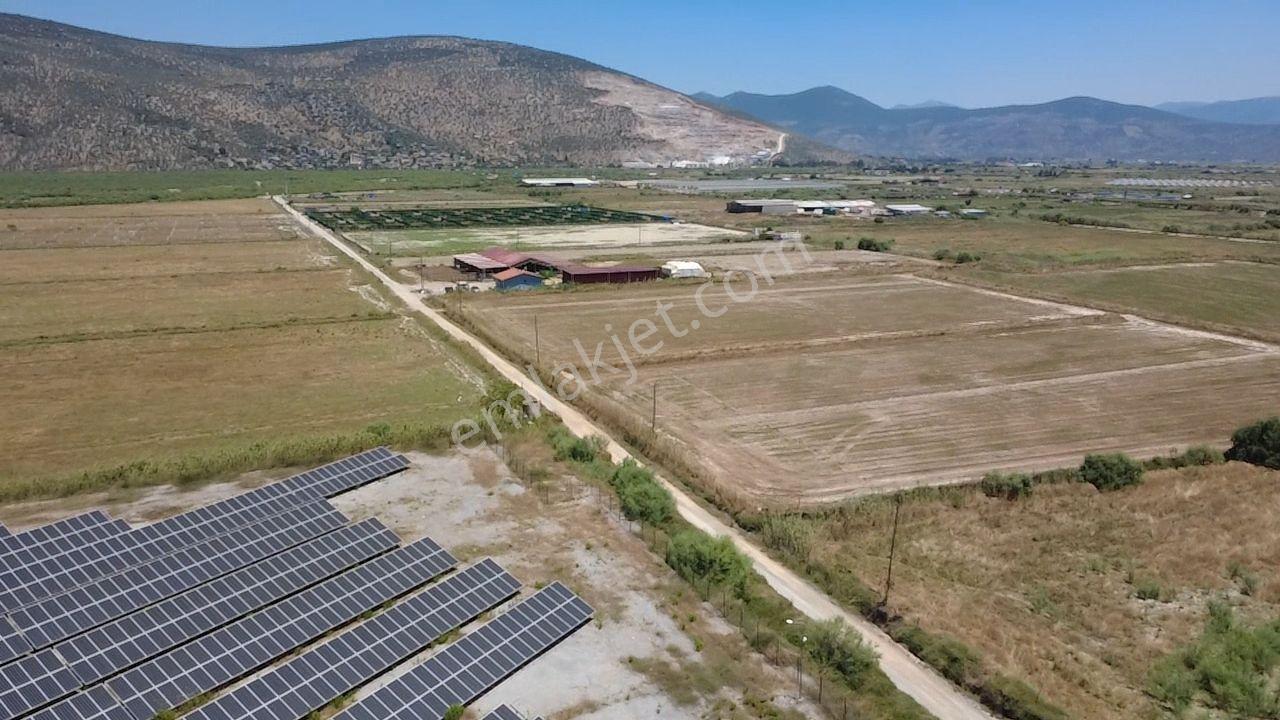 Milas Avşar Da Yola Sıfır 9 Dönüm Fırsat Tarla - Görsel 28