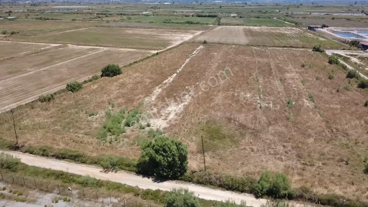 Milas Avşar Da Yola Sıfır 9 Dönüm Fırsat Tarla - Görsel 9