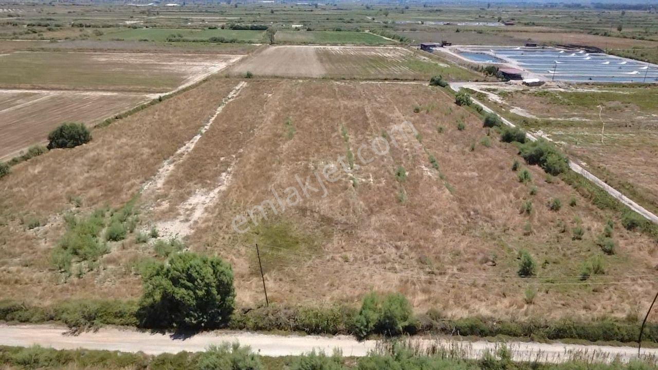 Milas Avşar Da Yola Sıfır 9 Dönüm Fırsat Tarla - Görsel 35