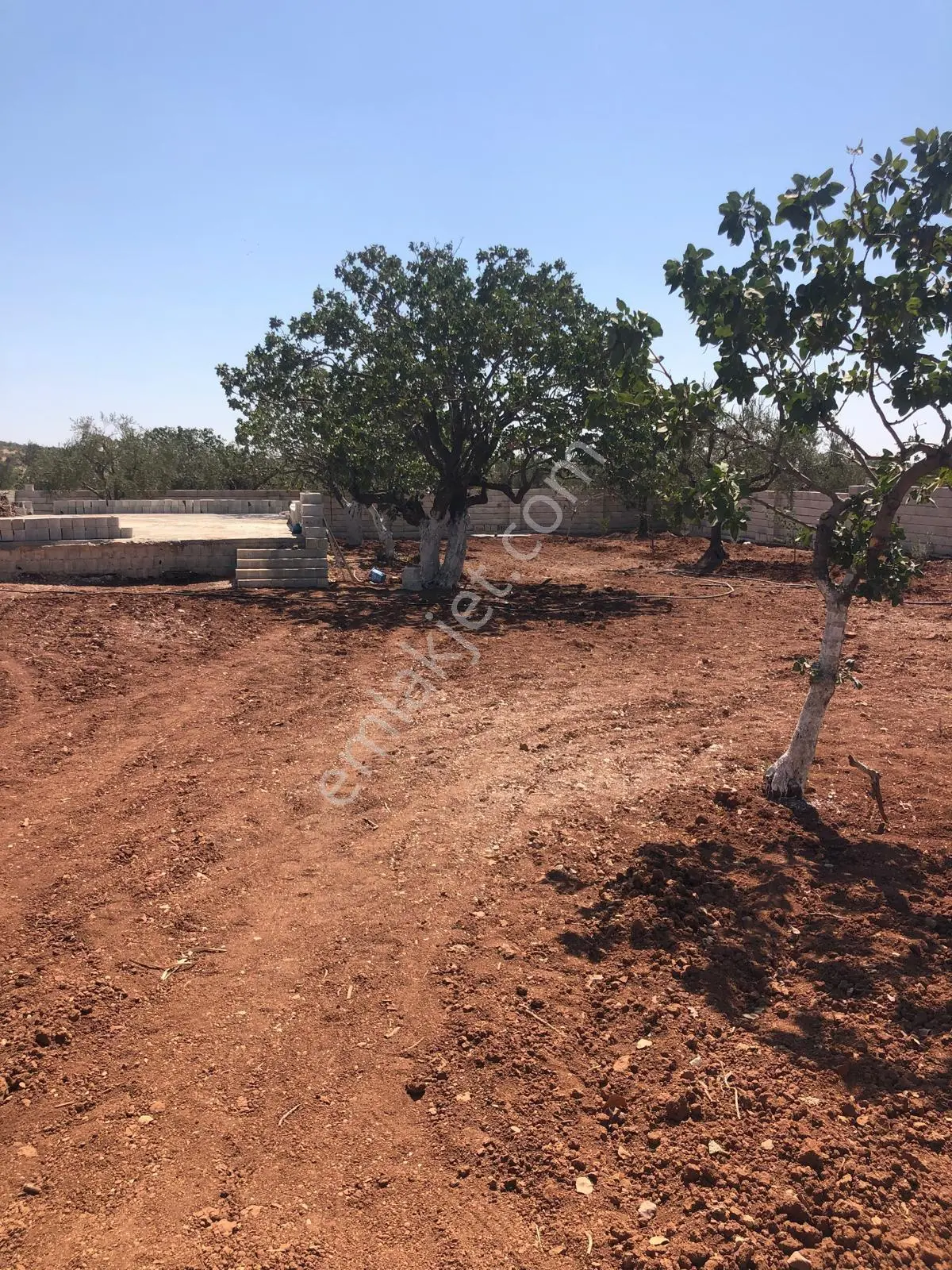 Gaziantep Oğuzeli Gürsu Satılık 1072 M2 Bağevi Yeri - Görsel 5