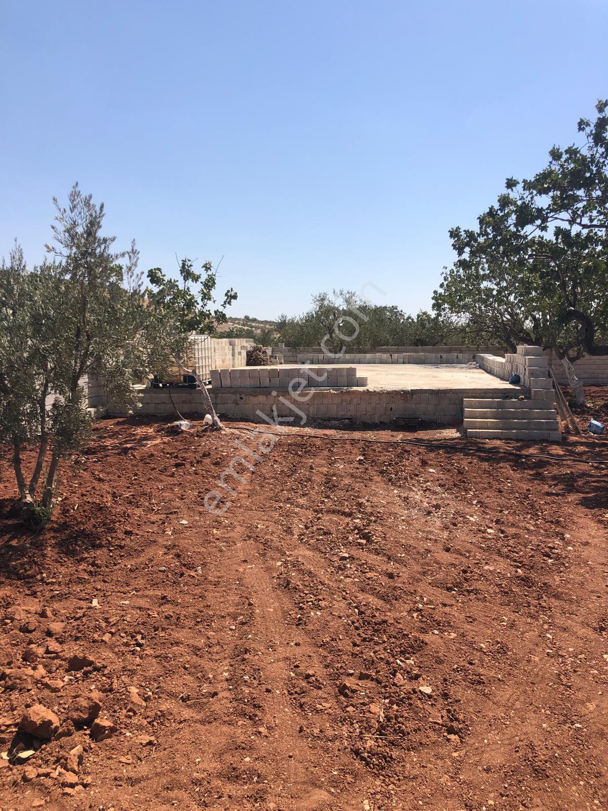 Gaziantep Oğuzeli Gürsu Satılık 1072 M2 Bağevi Yeri - Görsel 33