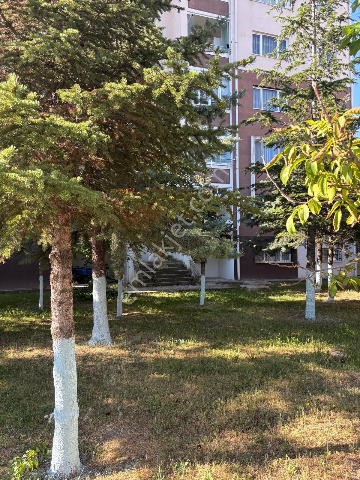 Cb Vizyon'dan Gölbaşı Eymir Mahallesi Toki'de C2 Kiralık Daire - Görsel 7
