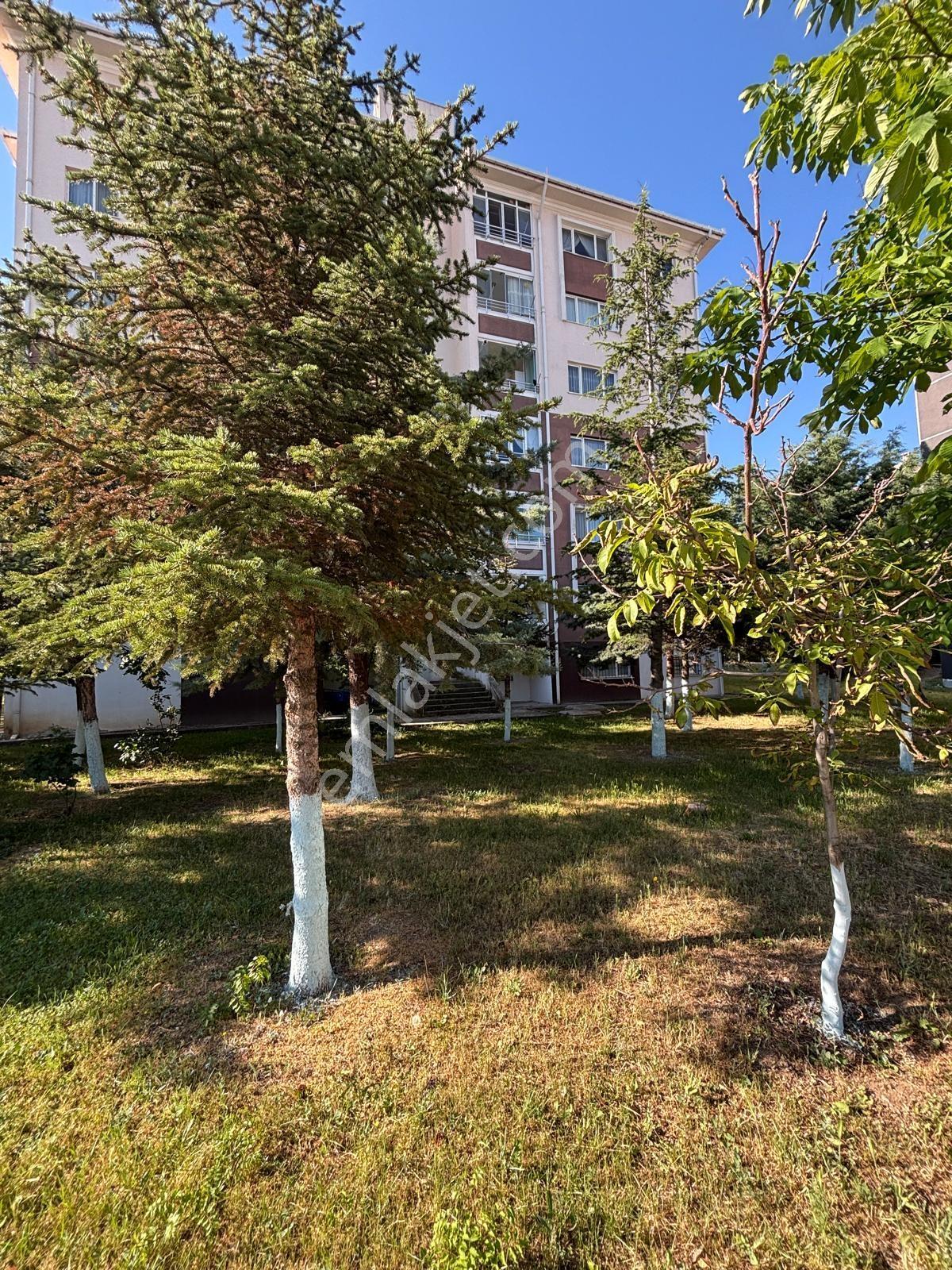 Cb Vizyon'dan Gölbaşı Eymir Mahallesi Toki'de C2 Kiralık Daire - Görsel 6