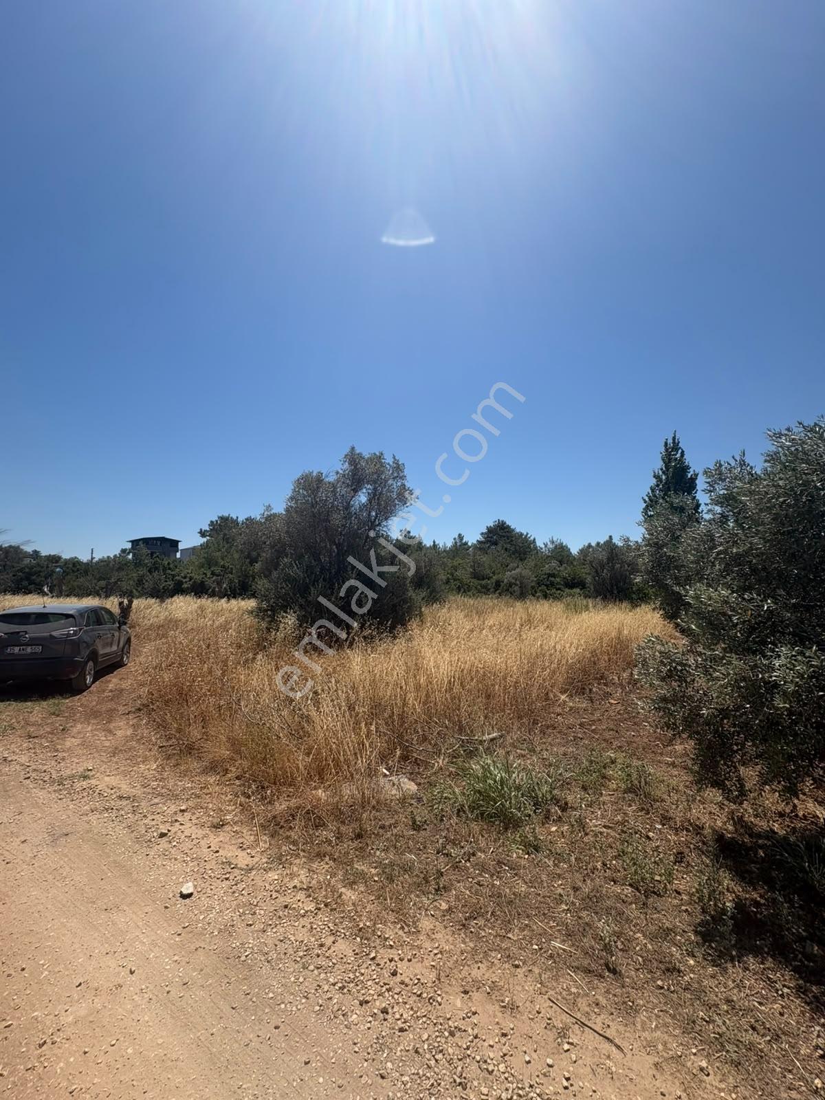 Urla Torasan'da Denize Yakın İmarlı Geniş Arsa