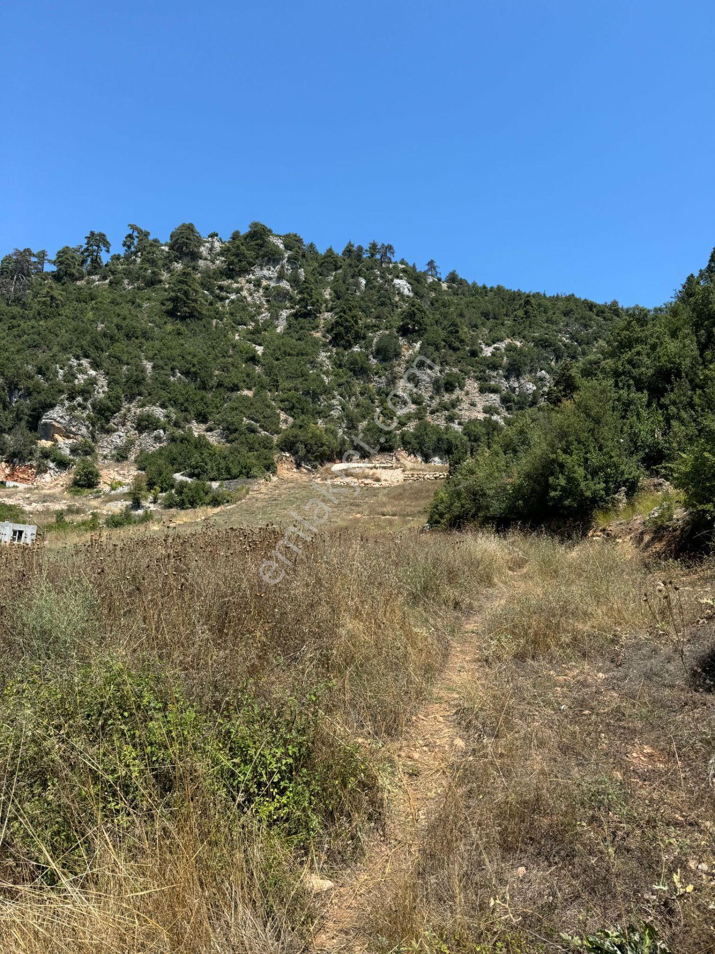 Etherealden Toroslar Çağlarcada 3493m2 Tektapulu Yola Sıfır Arsa - Görsel 8
