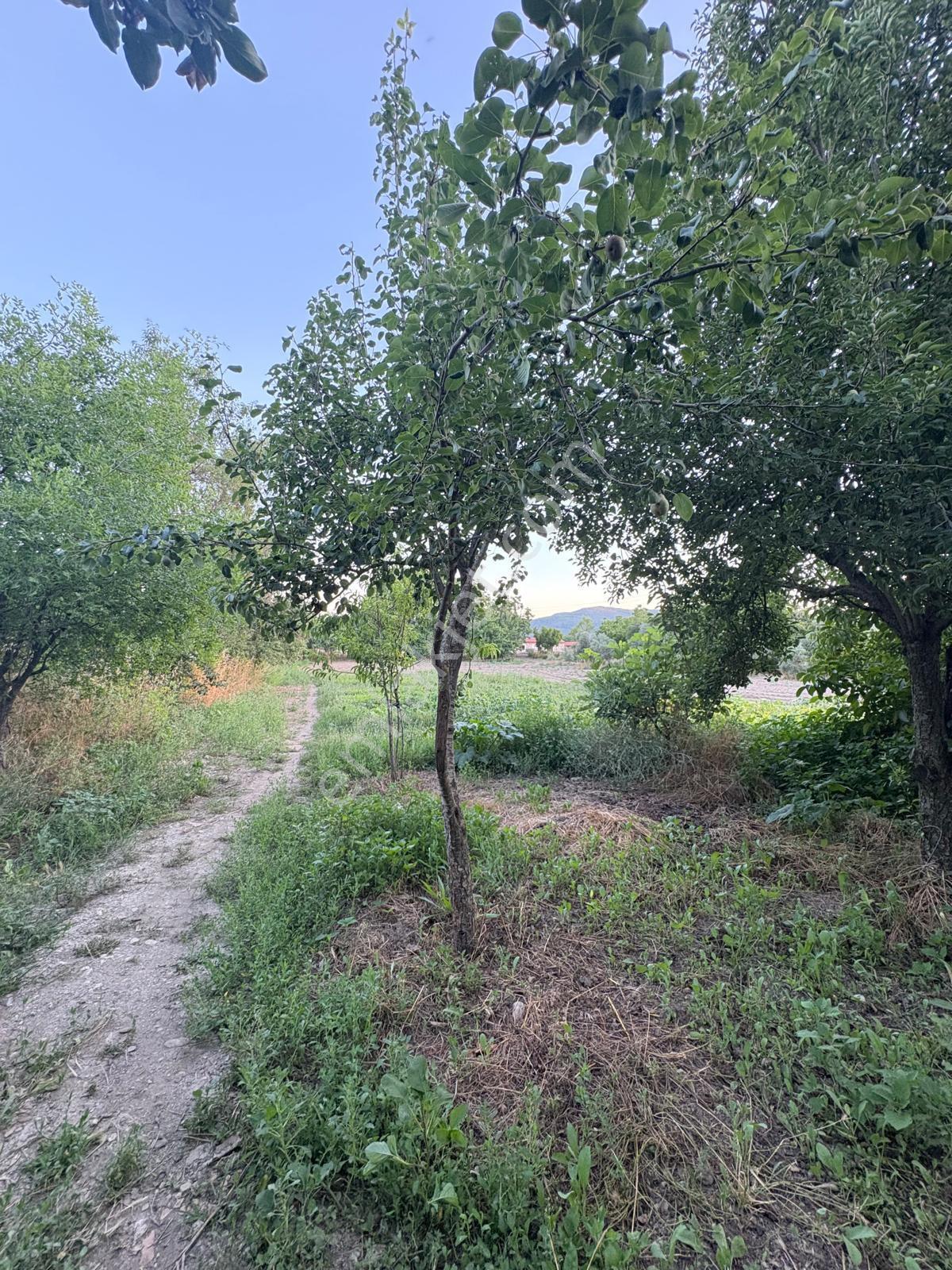 Muğla Menteşe Yeşilyurt Mah. Satılık Ev Ve 3.228 M2 Arazi - Görsel 30