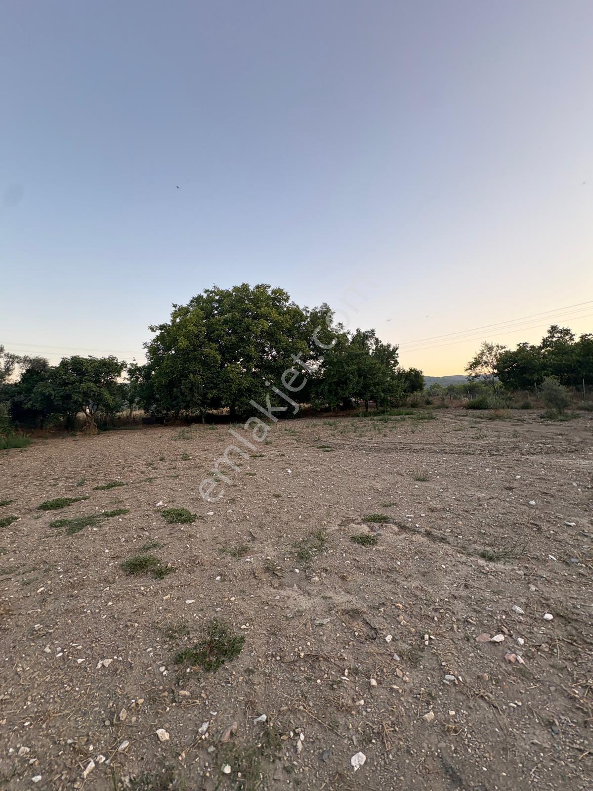 Muğla Menteşe Yeşilyurt Mah. Satılık Ev Ve 3.228 M2 Arazi - Görsel 32