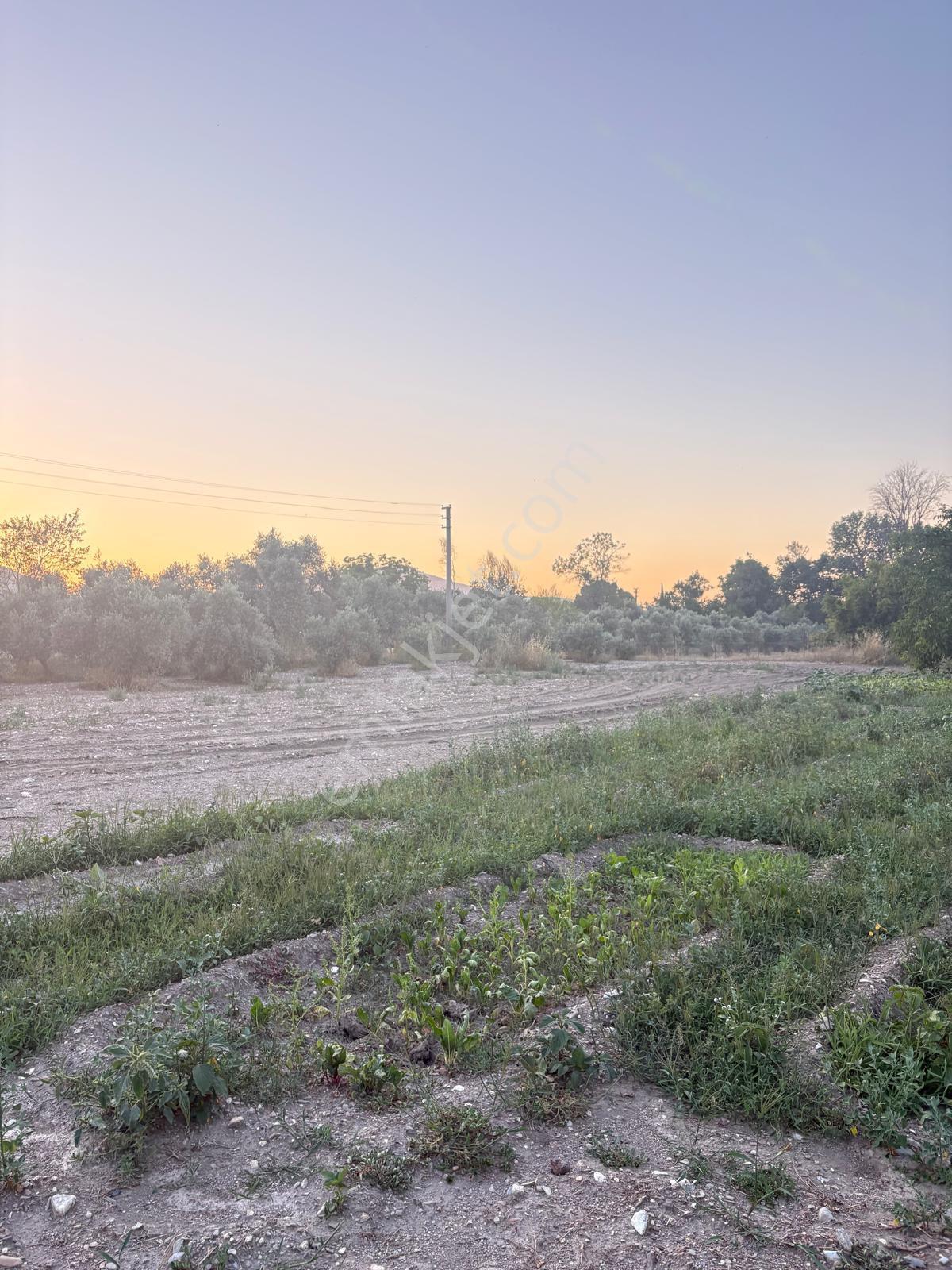 Muğla Menteşe Yeşilyurt Mah. Satılık Ev Ve 3.228 M2 Arazi - Görsel 15