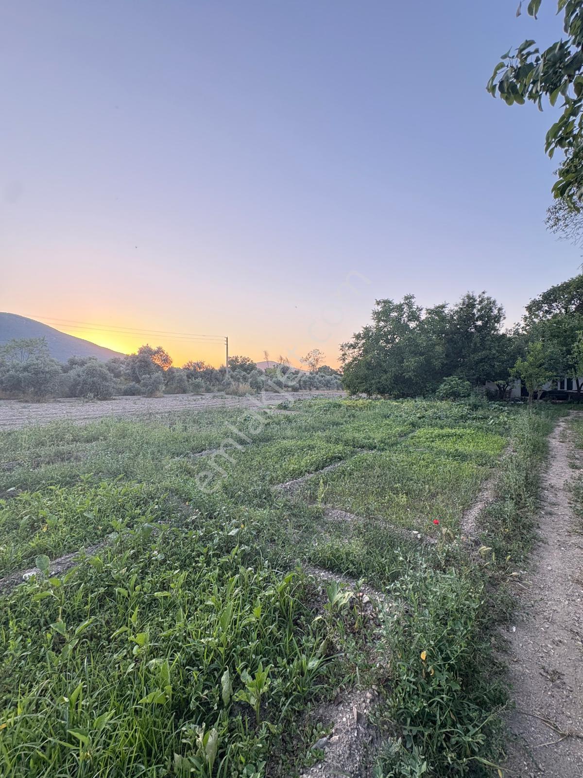 Muğla Menteşe Yeşilyurt Mah. Satılık Ev Ve 3.228 M2 Arazi - Görsel 21