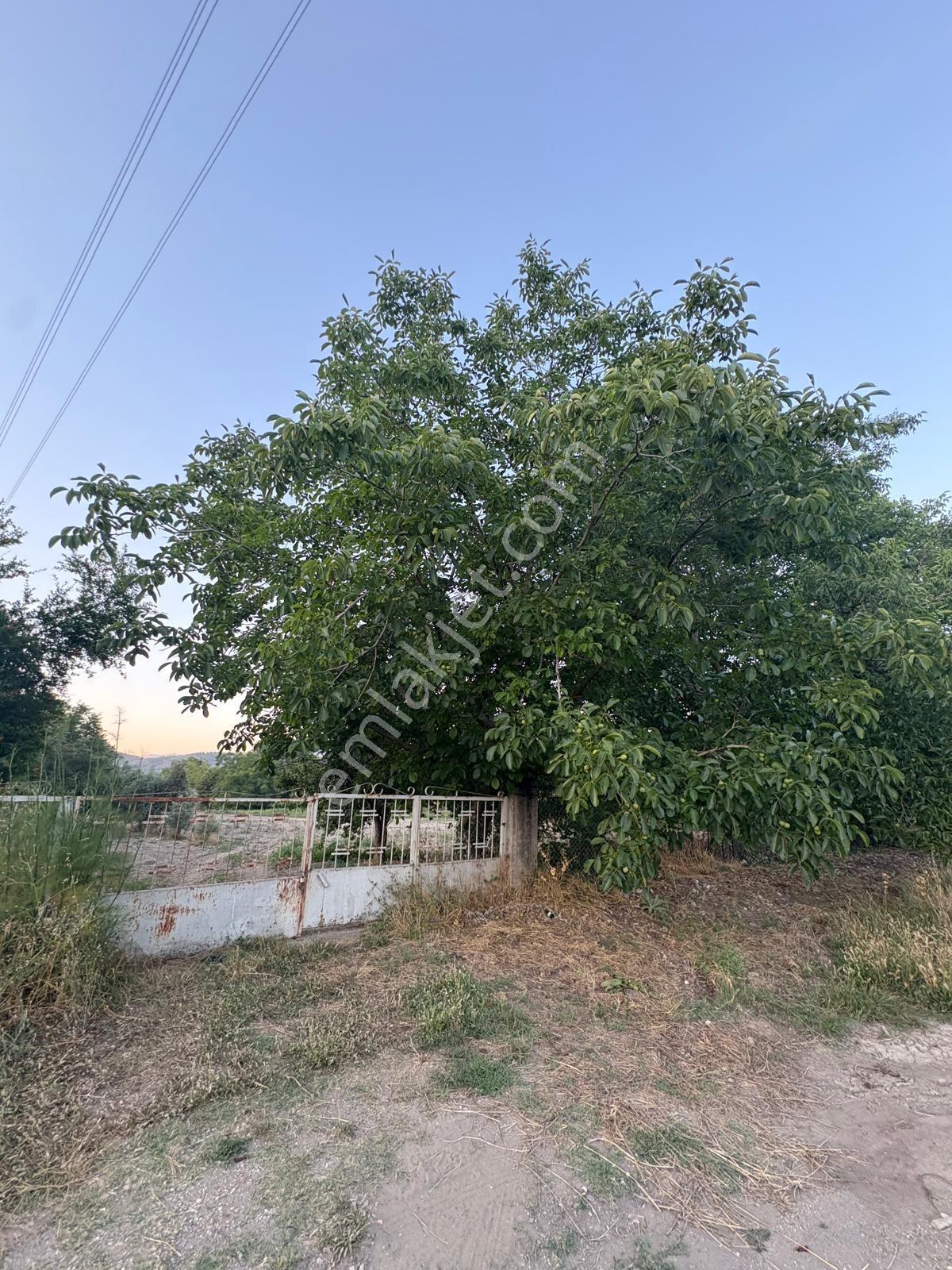 Muğla Menteşe Yeşilyurt Mah. Satılık Ev Ve 3.228 M2 Arazi - Görsel 11