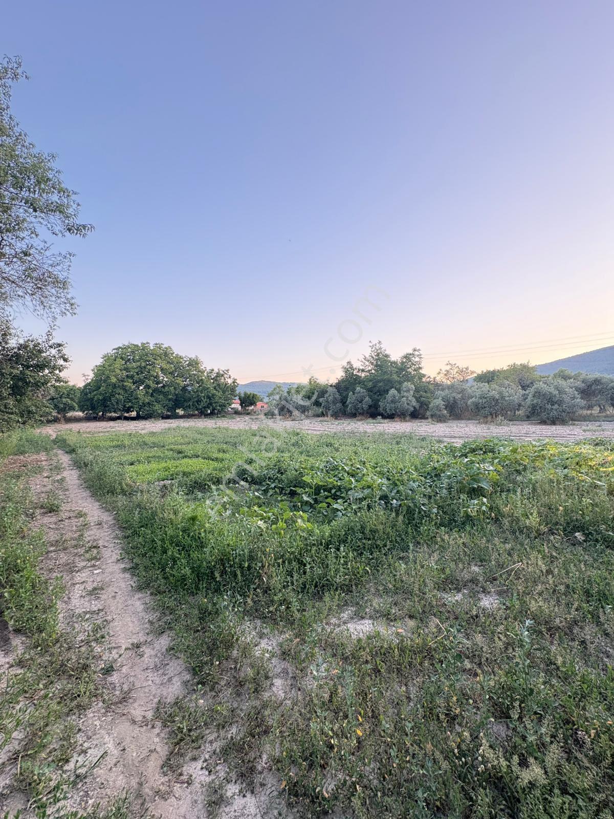 Muğla Menteşe Yeşilyurt Mah. Satılık Ev Ve 3.228 M2 Arazi - Görsel 12