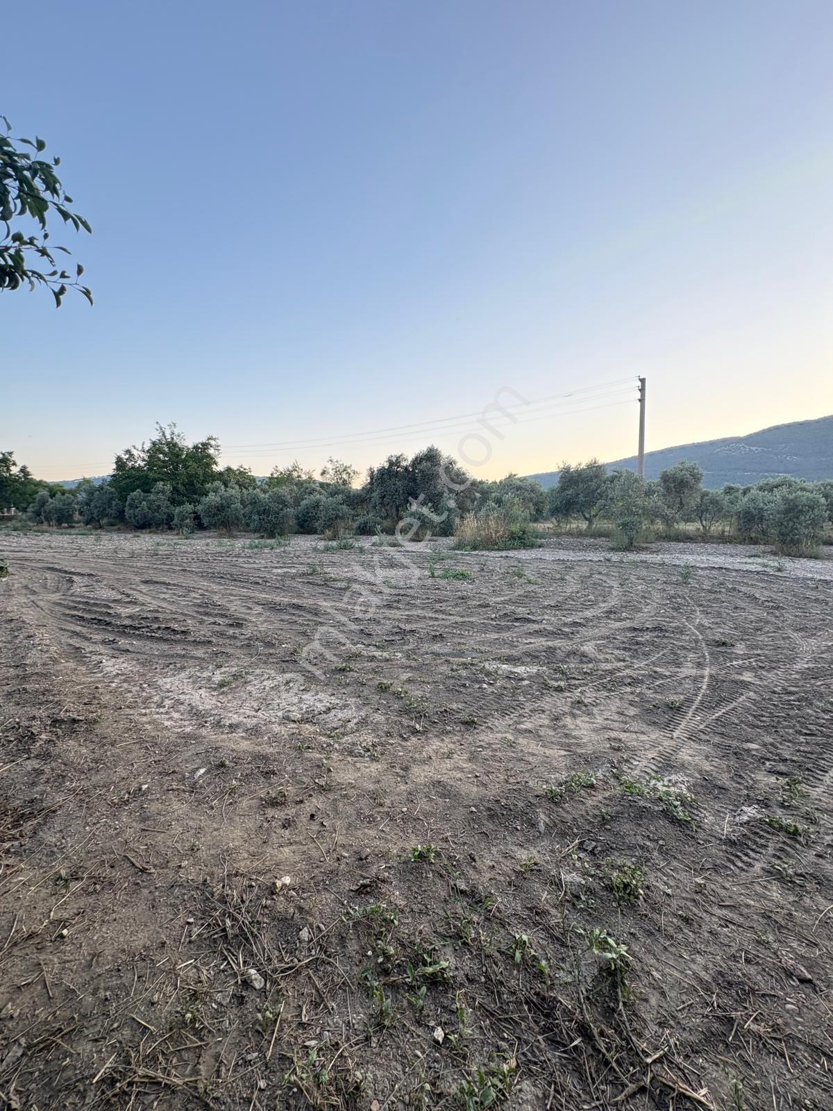 Muğla Menteşe Yeşilyurt Mah. Satılık Ev Ve 3.228 M2 Arazi - Görsel 18