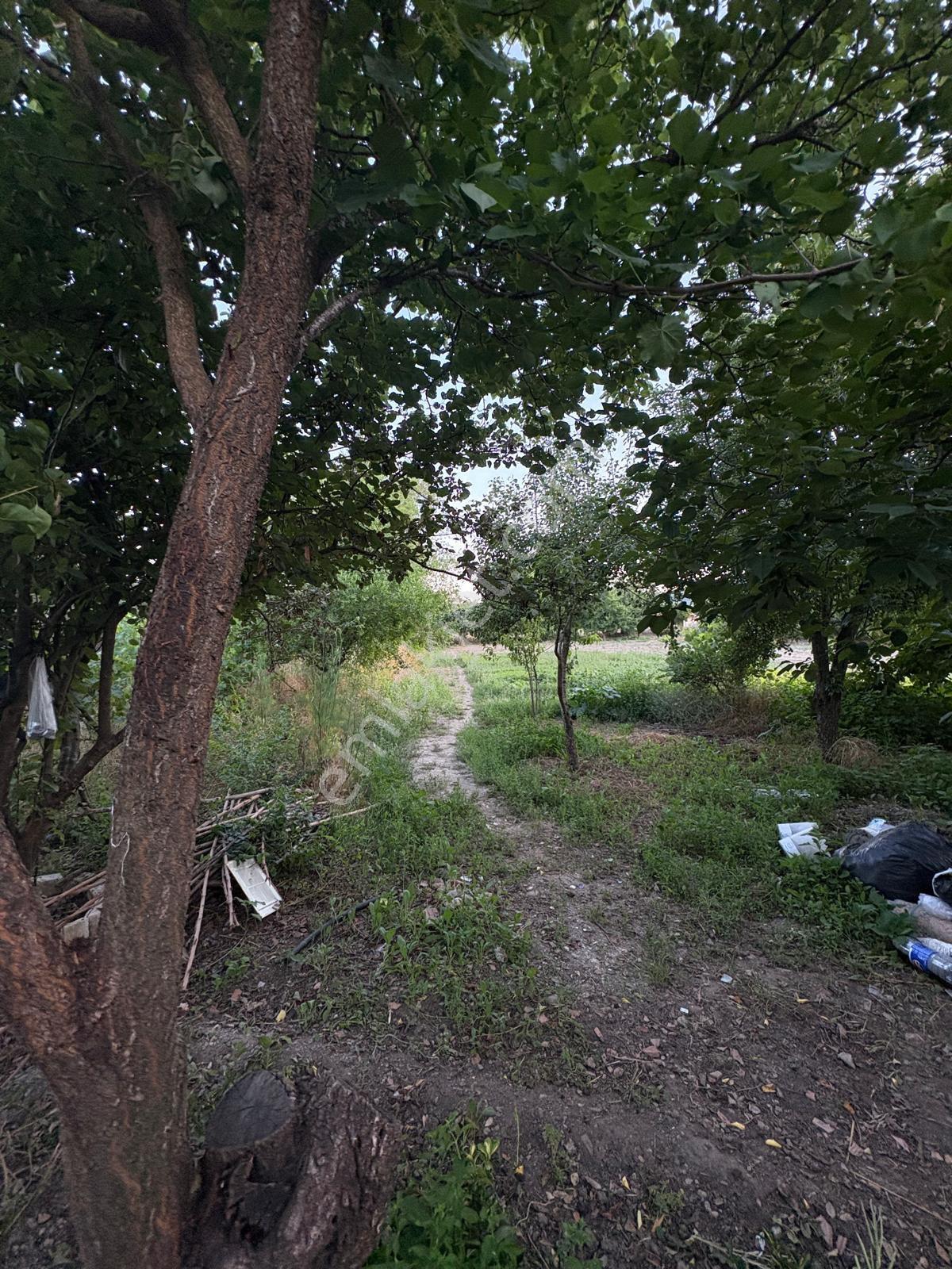 Muğla Menteşe Yeşilyurt Mah. Satılık Ev Ve 3.228 M2 Arazi - Görsel 34