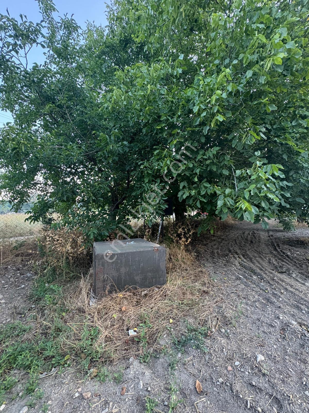 Muğla Menteşe Yeşilyurt Mah. Satılık Ev Ve 3.228 M2 Arazi - Görsel 22