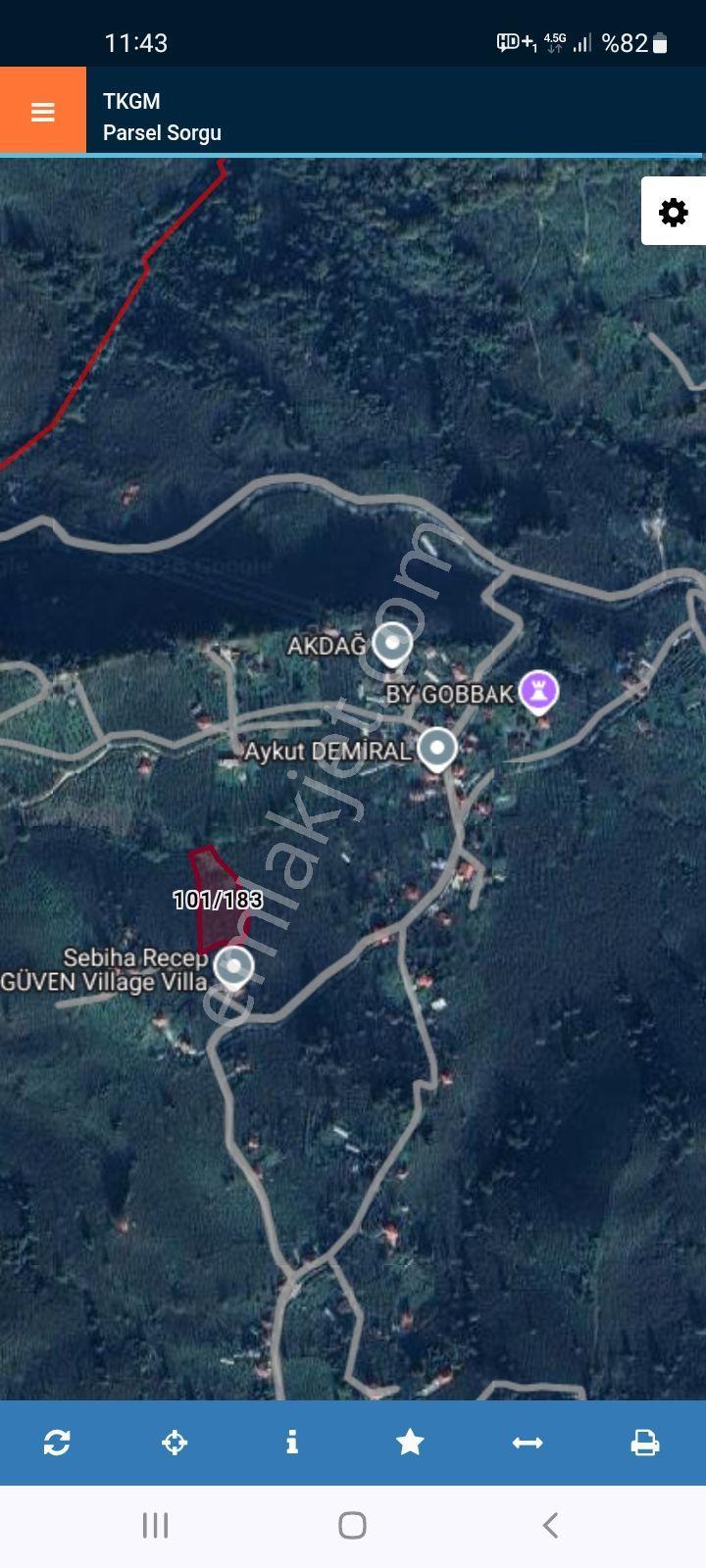 Bulancak İnece Mandıralık Satılık 4232m2 Bahçe - Görsel 2
