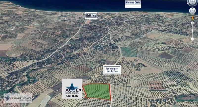 Şarköy Eriklice'de 7549 M2'lik Yatırımlık Tarla - Görsel 2