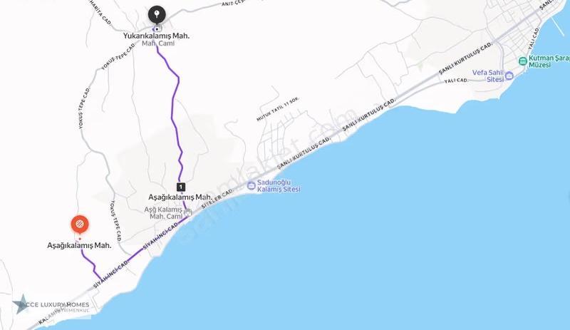 Şarköy/yukarıkalamış'ta Sahile Yakın 2998 M2 Bağ Ve Zeytinlik - Görsel 2