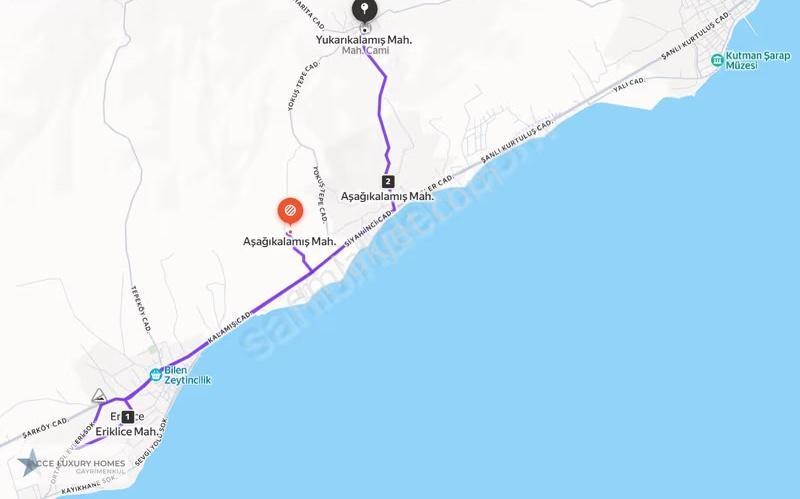 Şarköy/yukarıkalamış'ta Sahile Yakın 2998 M2 Bağ Ve Zeytinlik - Görsel 3