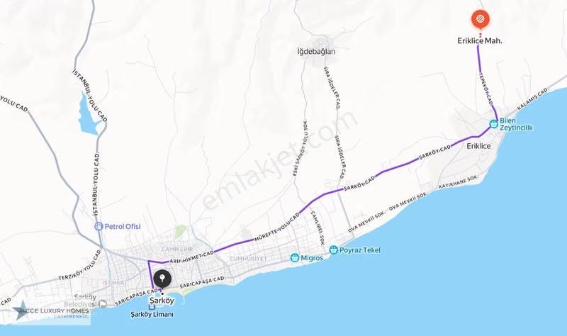 Şarköy'de Tepeköy-eriklice Hattında 3798 M2 Bağ Ve Zeytinlik - Görsel 5