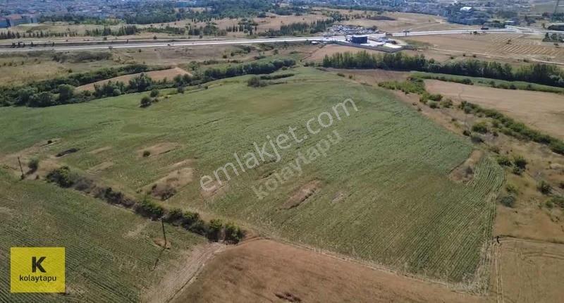 Kolaytapu Kırklareli Merkez 41.700 M² Tesis İmarlı Fırsat Arazi! - Görsel 13