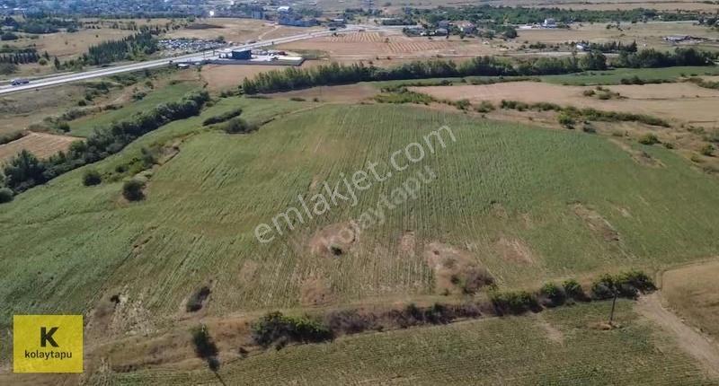 Kolaytapu Kırklareli Merkez 41.700 M² Tesis İmarlı Fırsat Arazi! - Görsel 6