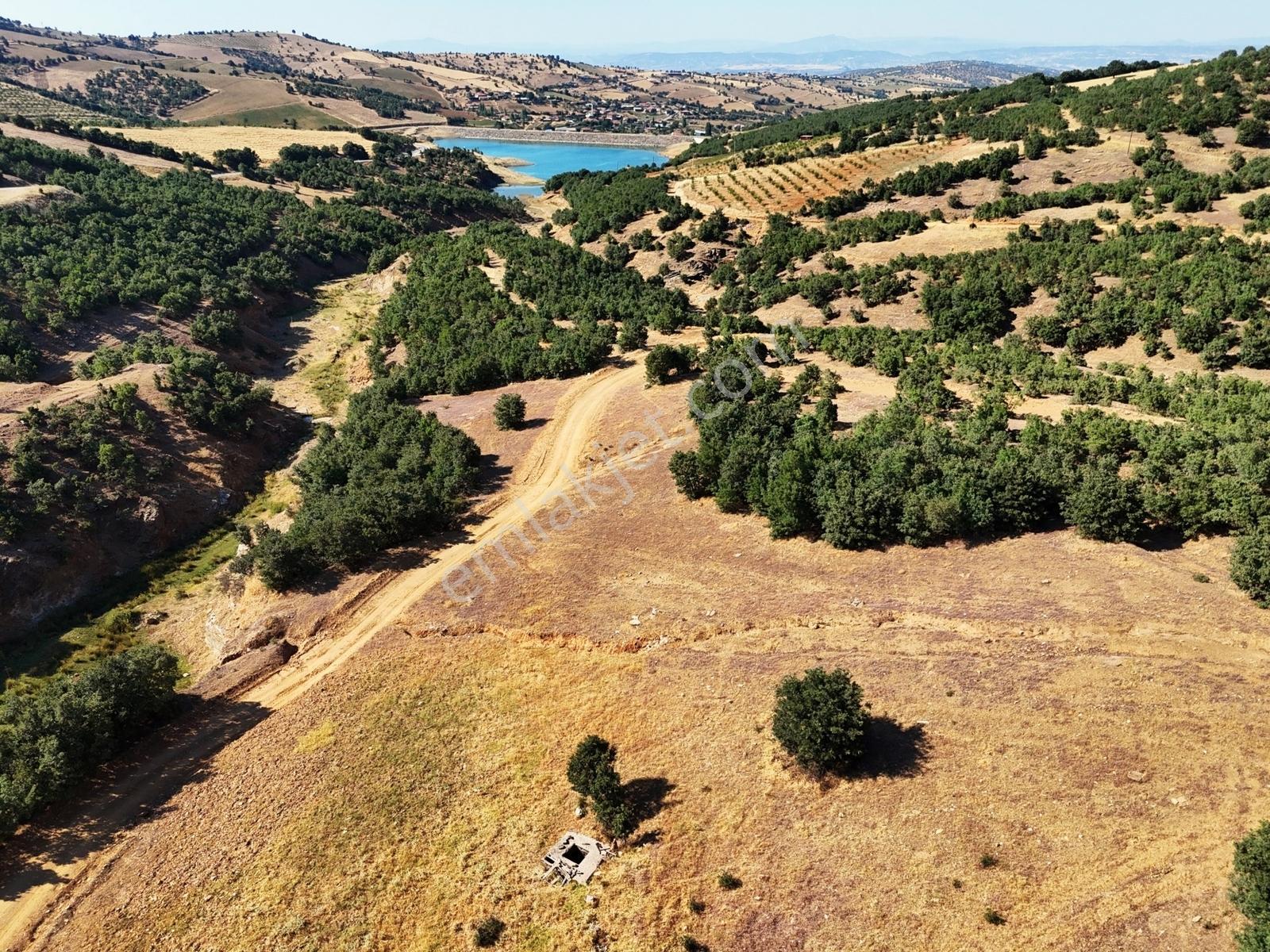 Kula'da Satılık 35552 M2 Tarla (video) - Görsel 28