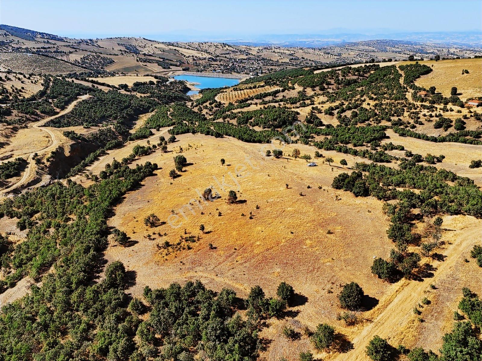 Kula'da Satılık 35552 M2 Tarla (video) - Görsel 20