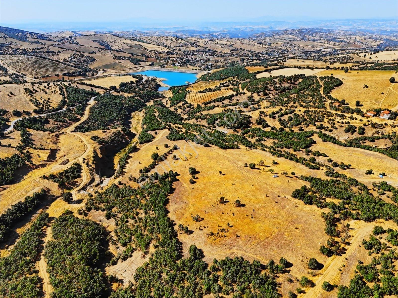 Kula'da Satılık 35552 M2 Tarla (video) - Görsel 13