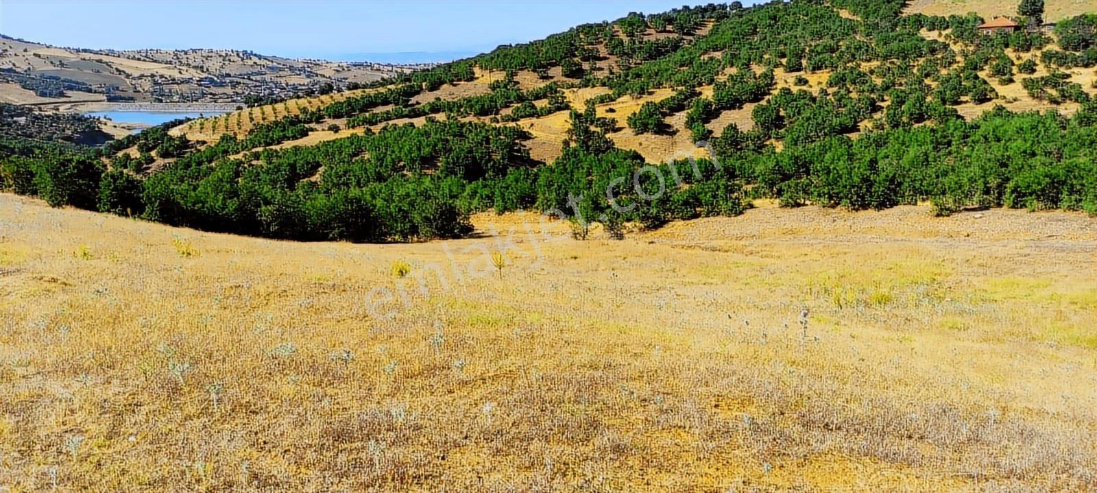 Kula'da Satılık 35552 M2 Tarla (video) - Görsel 30