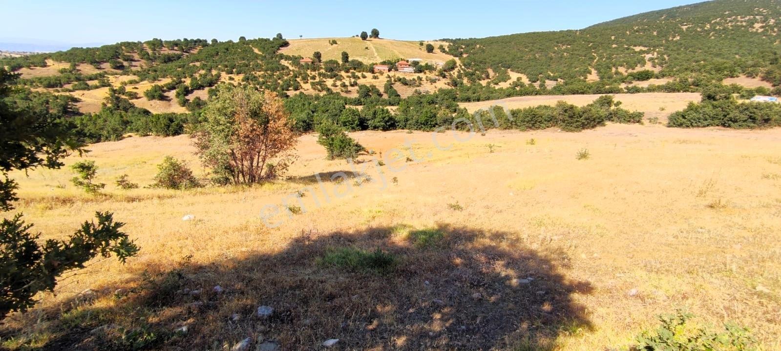 Kula'da Satılık 35552 M2 Tarla (video) - Görsel 29