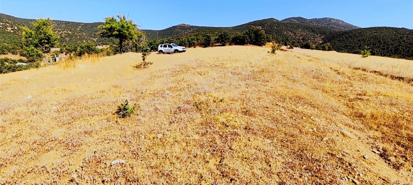 Kula'da Satılık 35552 M2 Tarla (video) - Görsel 12