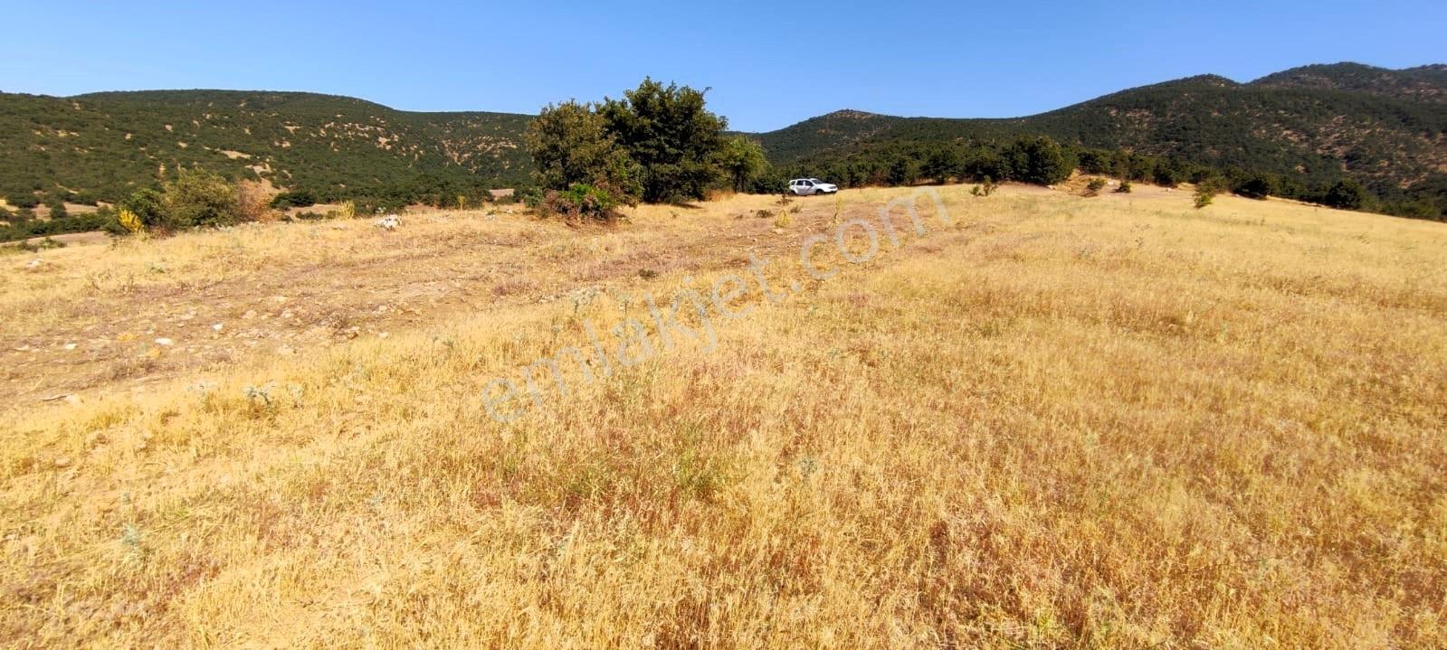 Kula'da Satılık 35552 M2 Tarla (video) - Görsel 24